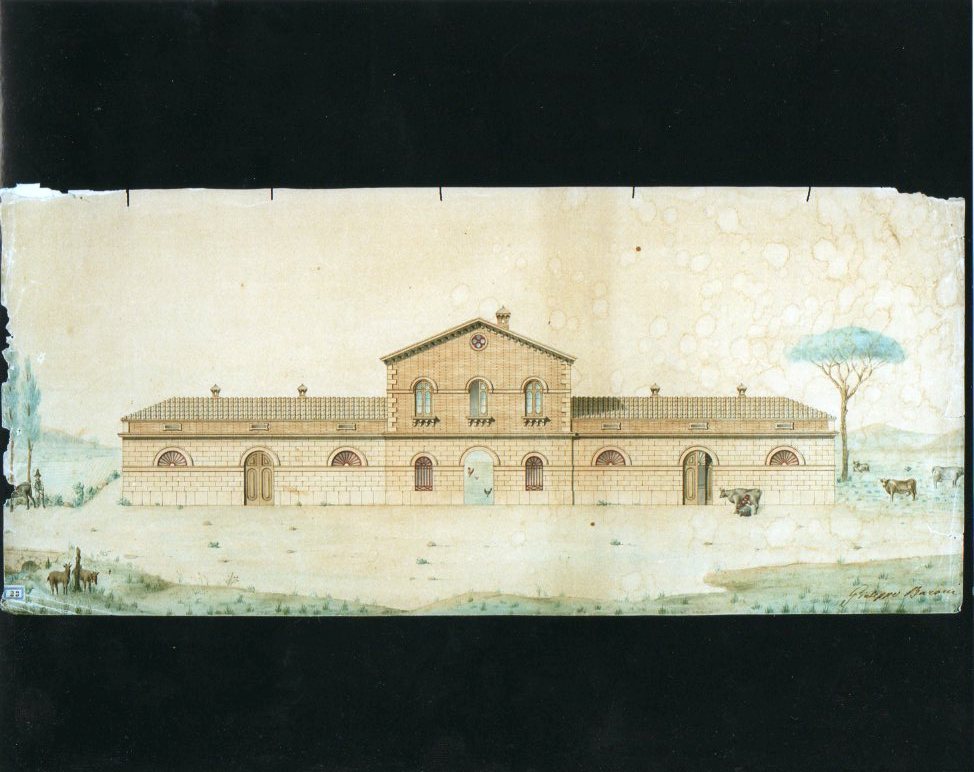progetto Cascina D'Uva - Lucera (FG) (disegno architettonico, elemento d'insieme) di Barone Giuseppe (sec. XIX)