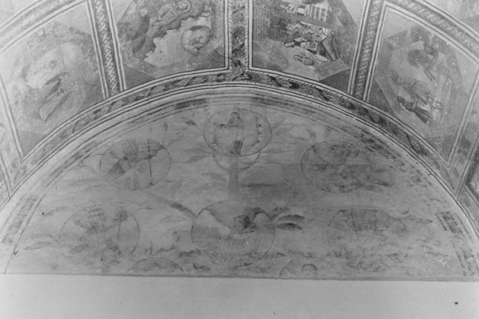 Albero francescano: Immacolata, san Francesco, quattro papi (dipinto) - ambito salentino (prima metà sec. XVII)