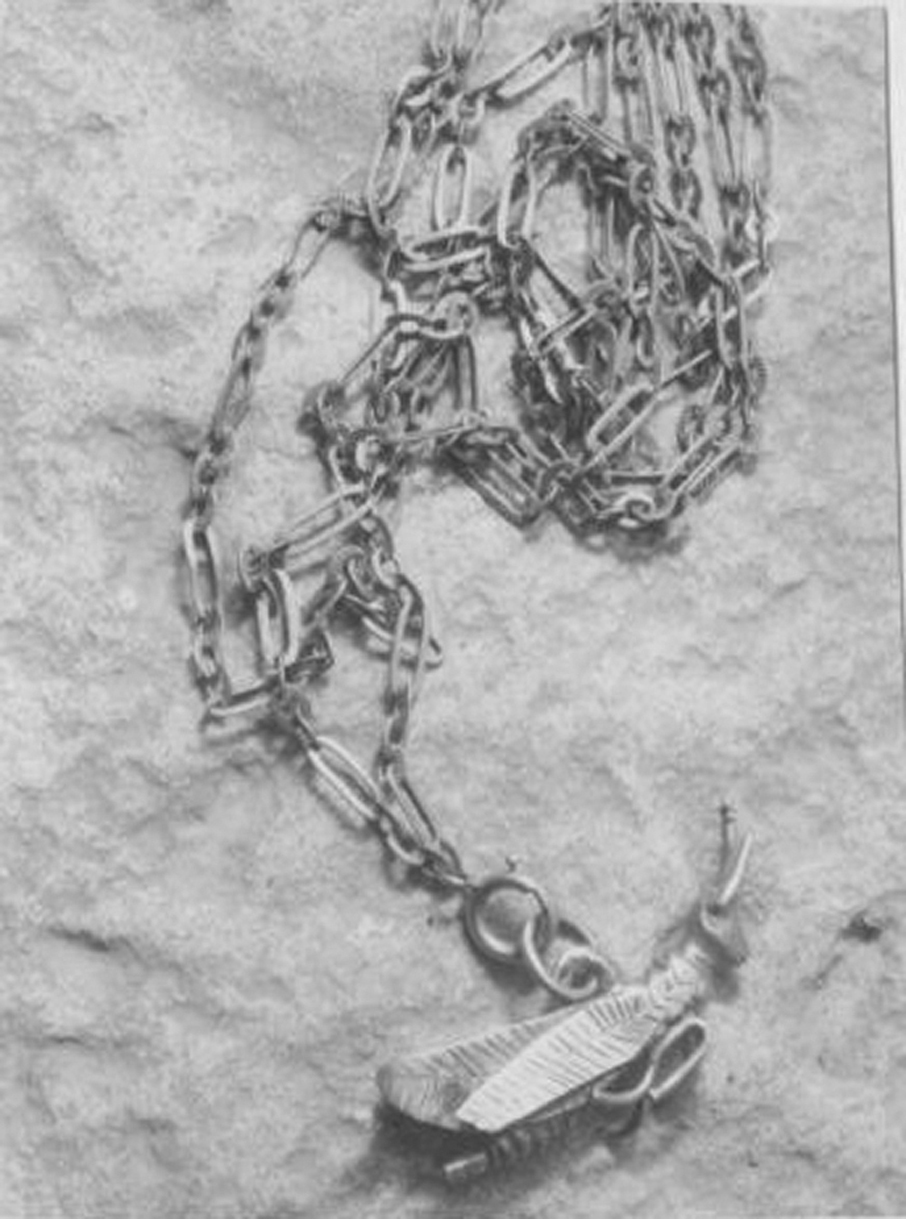Catena di gioiello