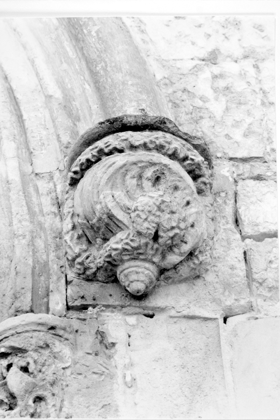 Motivi decorativi a girali vegetali (peduccio, serie)