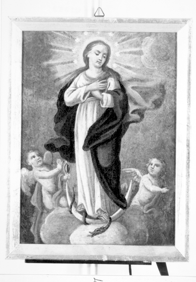 Madonna immacolata (dipinto)