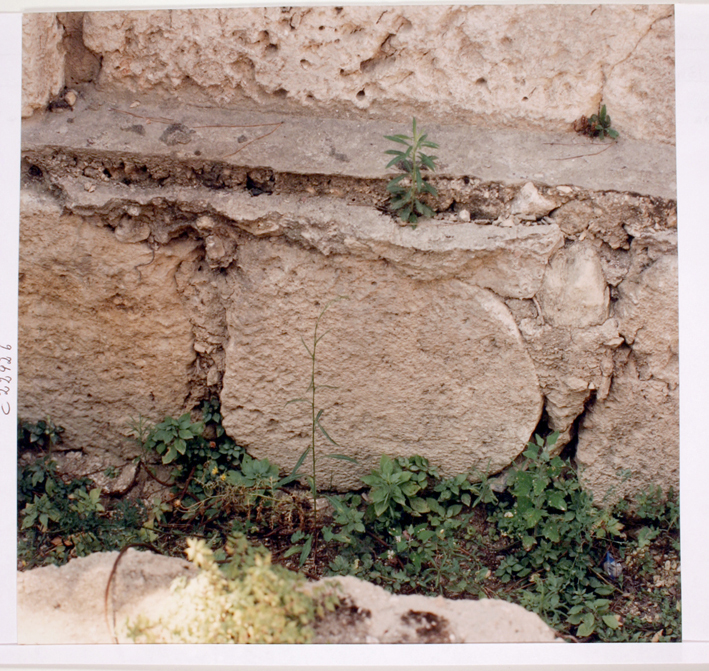 Concio, frammento