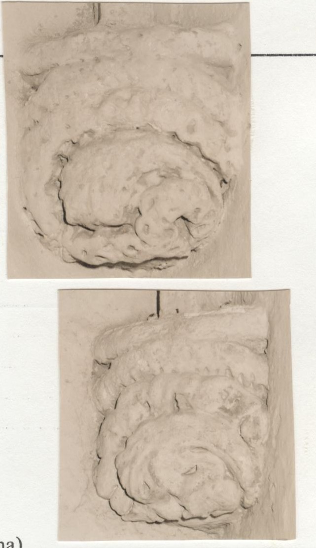 Peduccio - figurato