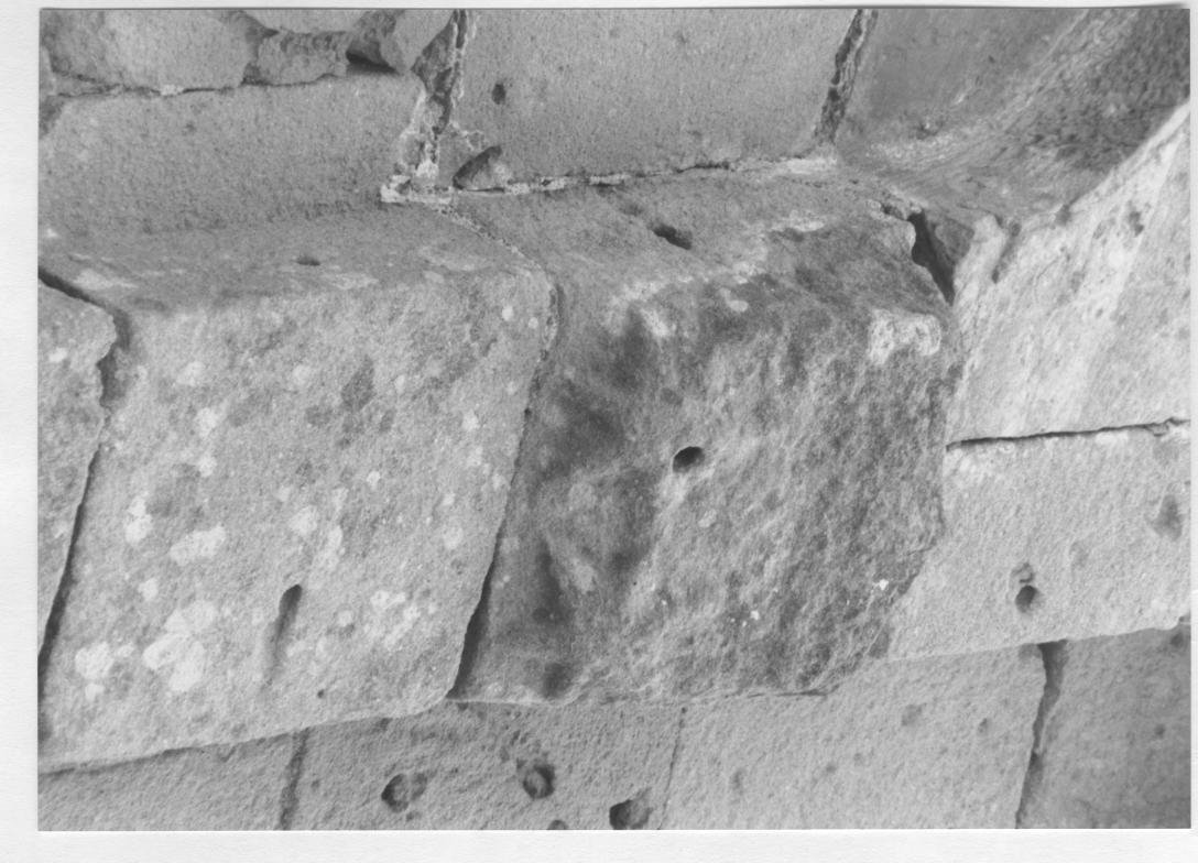 Capitello di lesena