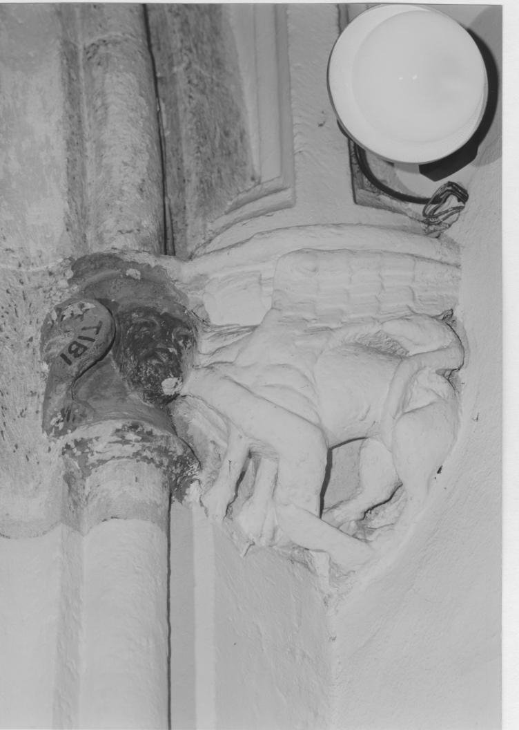 Leone (peduccio - figurato)