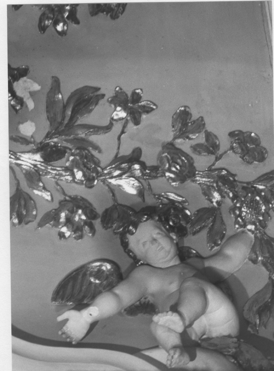 Motivi decorativi vegetali con putti alati (decorazione plastica)