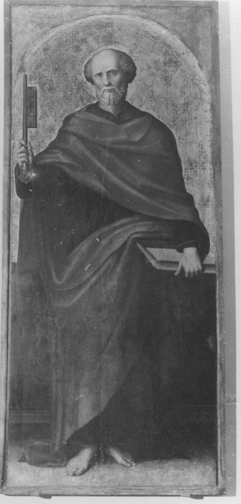 San Pietro (dipinto) di Cavaro Pietro (attribuito) (prima metà sec. XVI)