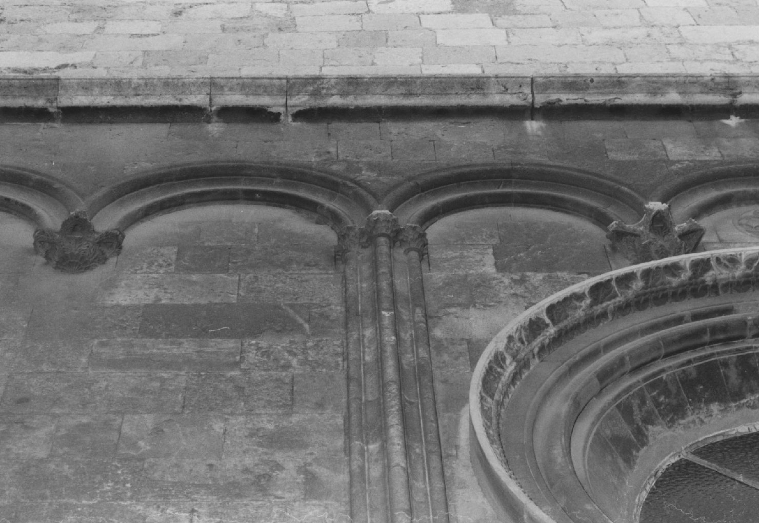Motivo decorativo fitomorfo (semicapitello)