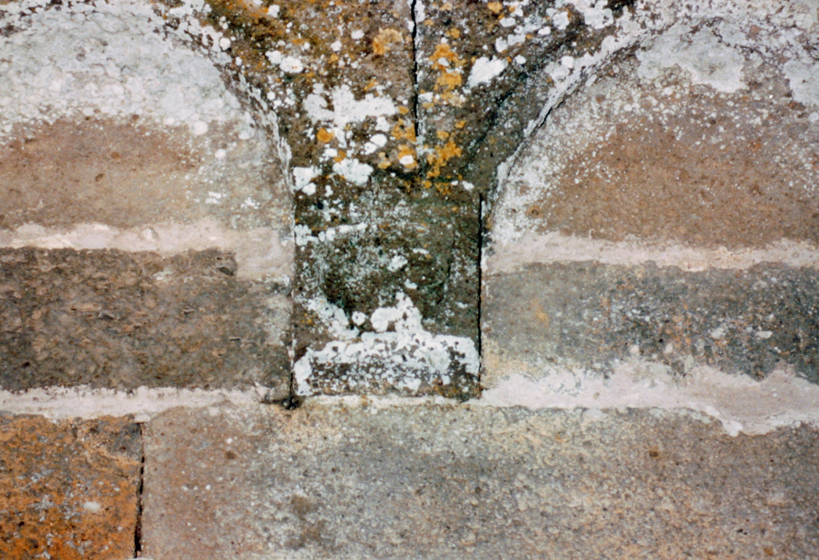 Peduccio