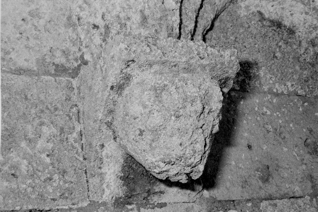 Motivo decorativo zoomorfo (mensola architettonica)