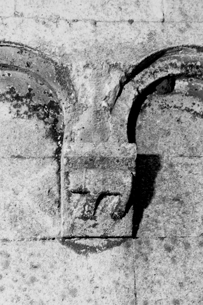 Motivo decorativo zoomorfo (mensola architettonica)