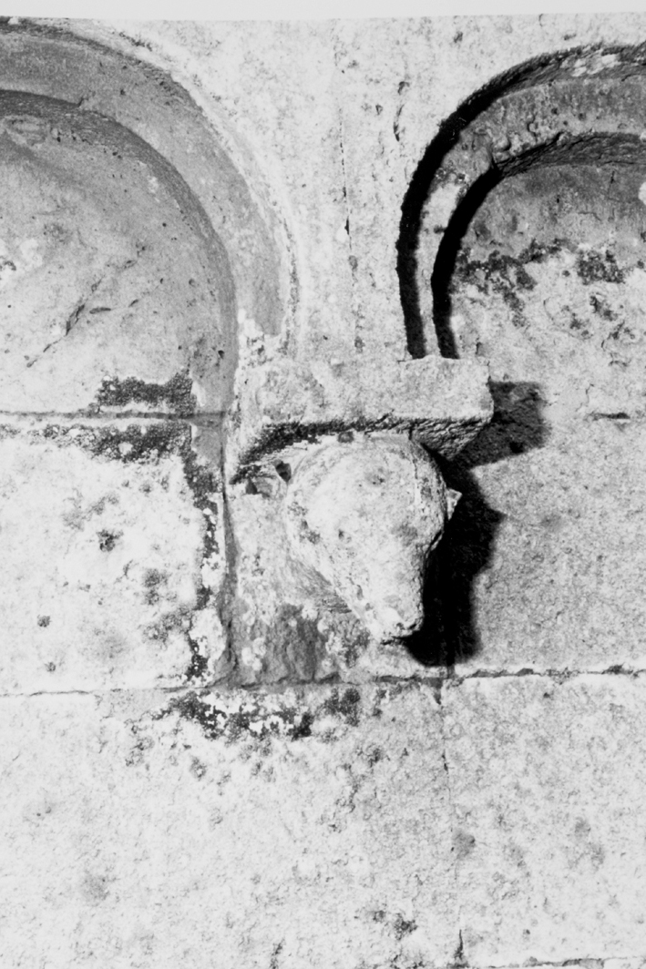 Motivo decorativo zoomorfo (mensola architettonica)