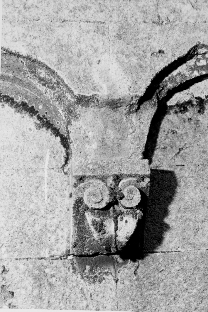 Motivo decorativo fitomorfo (mensola architettonica)