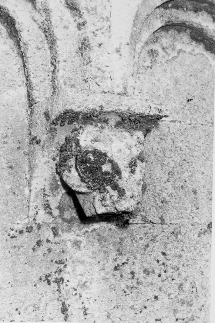 Motivo decorativo zoomorfo (mensola architettonica)