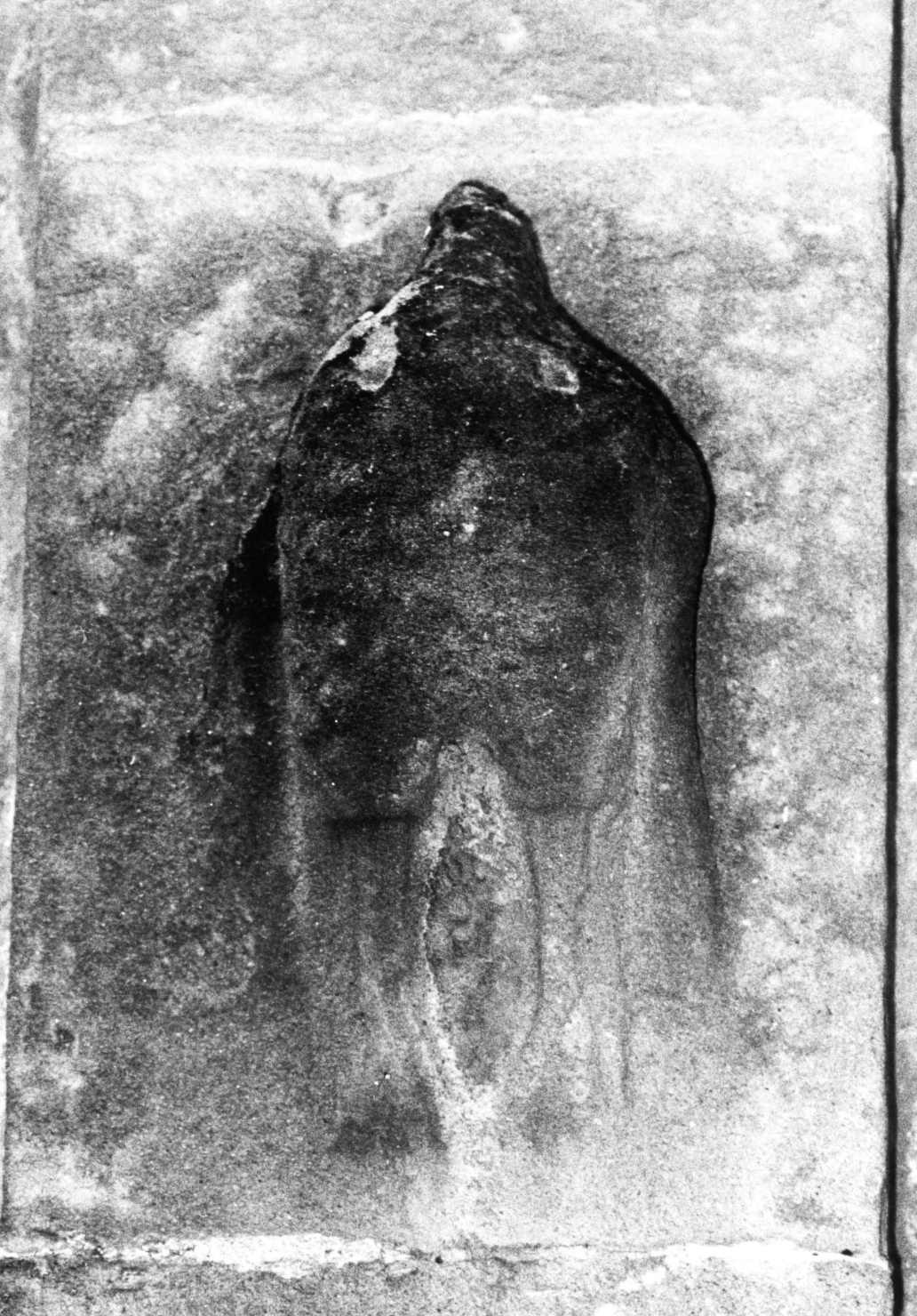 Motivo decorativo zoomorfo (mensola architettonica, coppia)