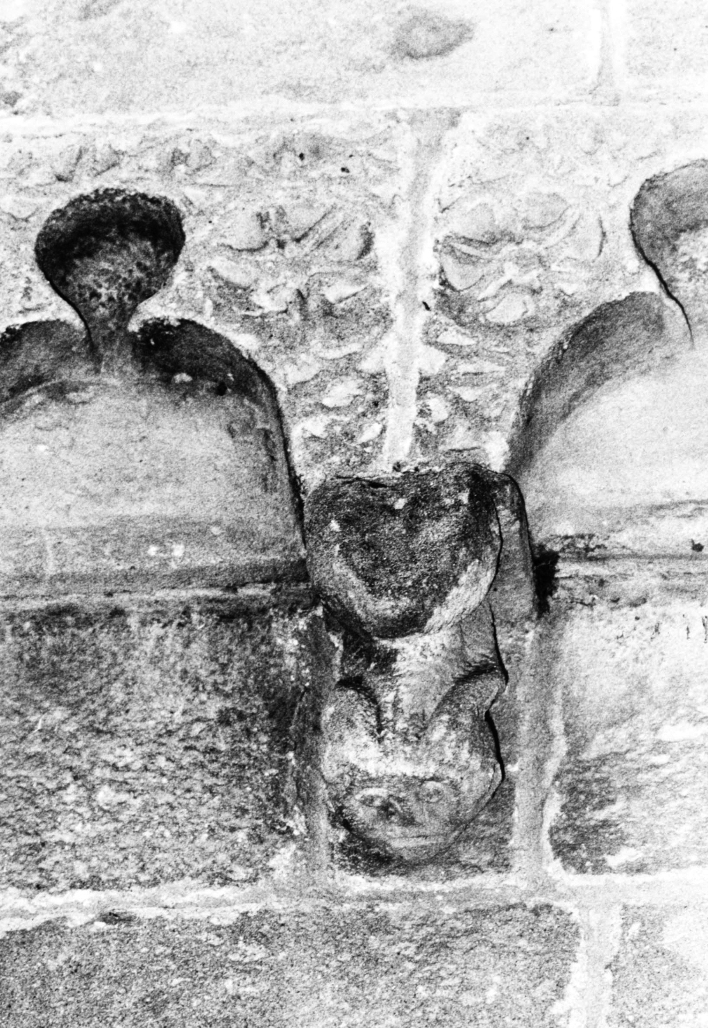 Motivo decorativo zoomorfo (mensola architettonica)