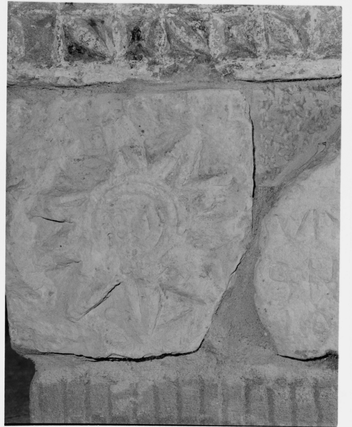Motivo decorativo (concio, elemento d'insieme)