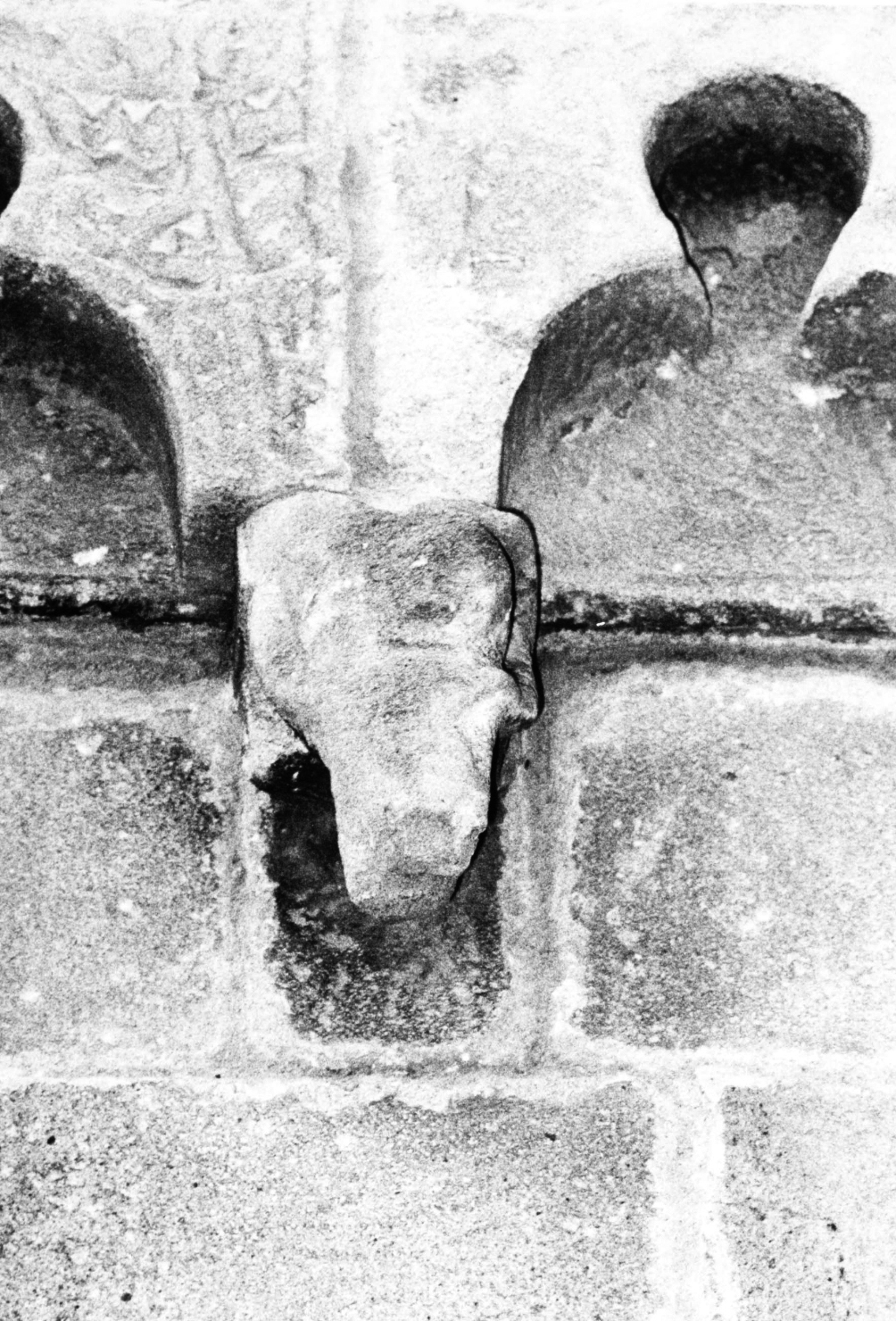 Motivo decorativo zoomorfo (mensola architettonica, serie)