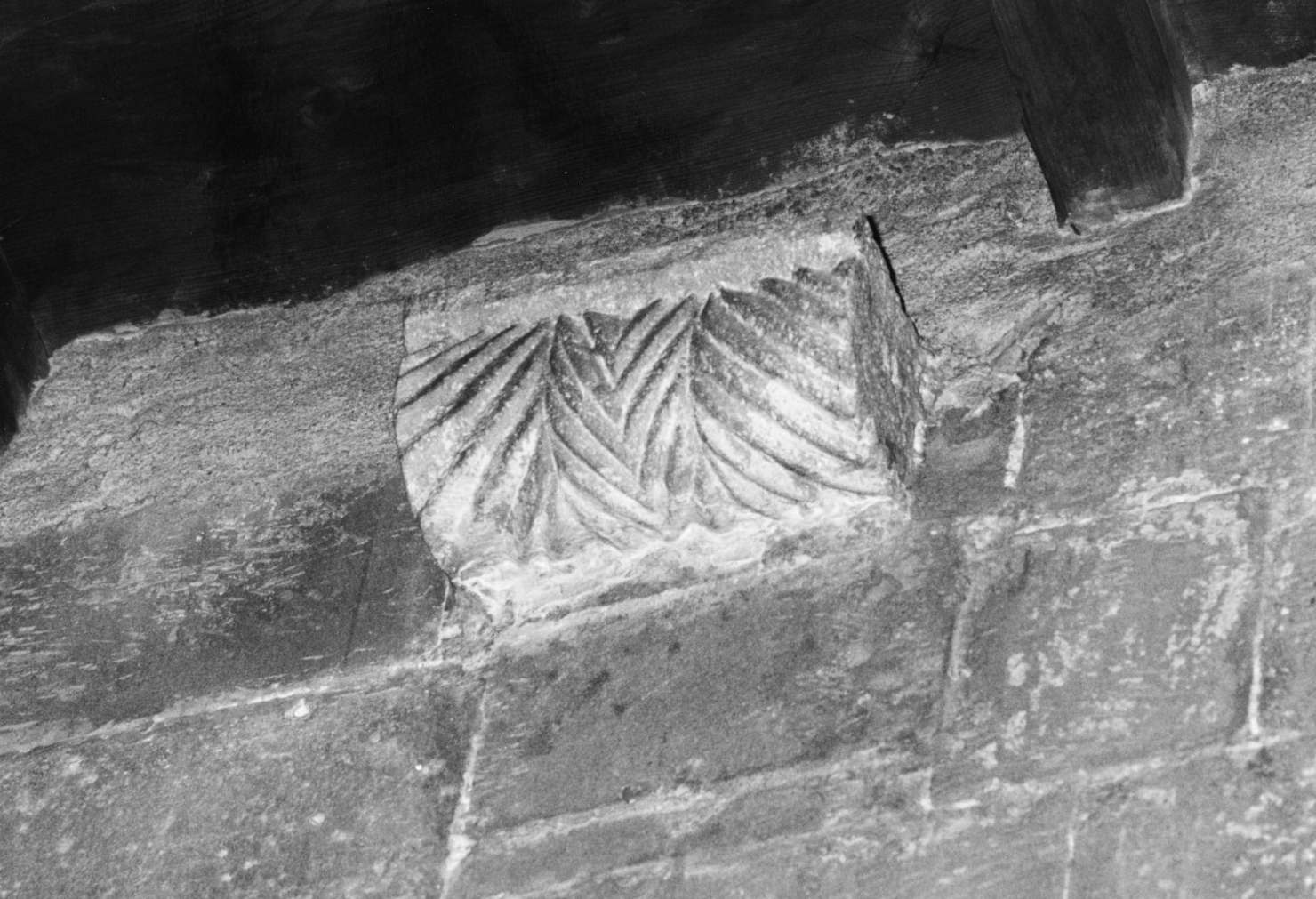Motivi decorativi vegetali a palmette (mensola architettonica)
