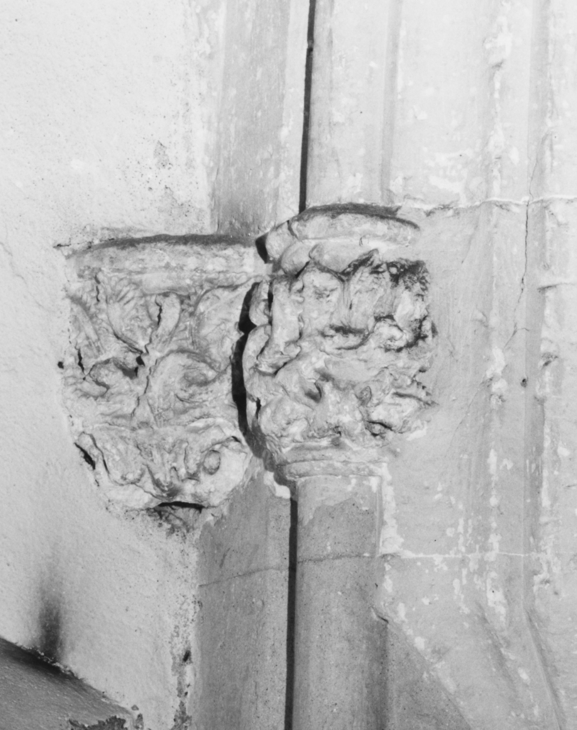 Motivo decorativo fitomorfo (peduccio, complesso decorativo)