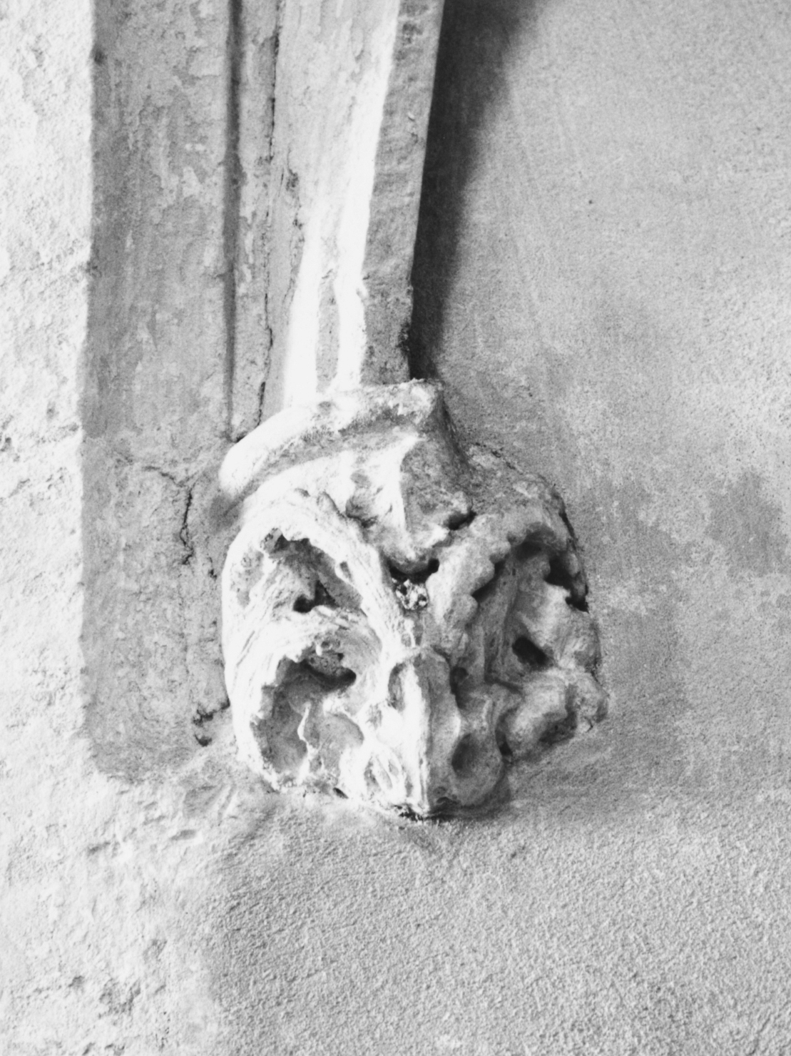 Motivo decorativo fitomorfo (peduccio, complesso decorativo)