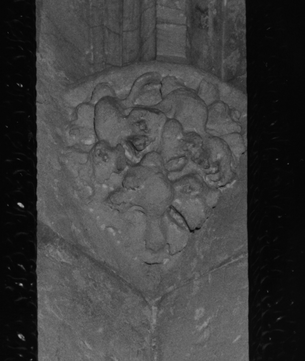 Motivo decorativo fitomorfo (peduccio, complesso decorativo)