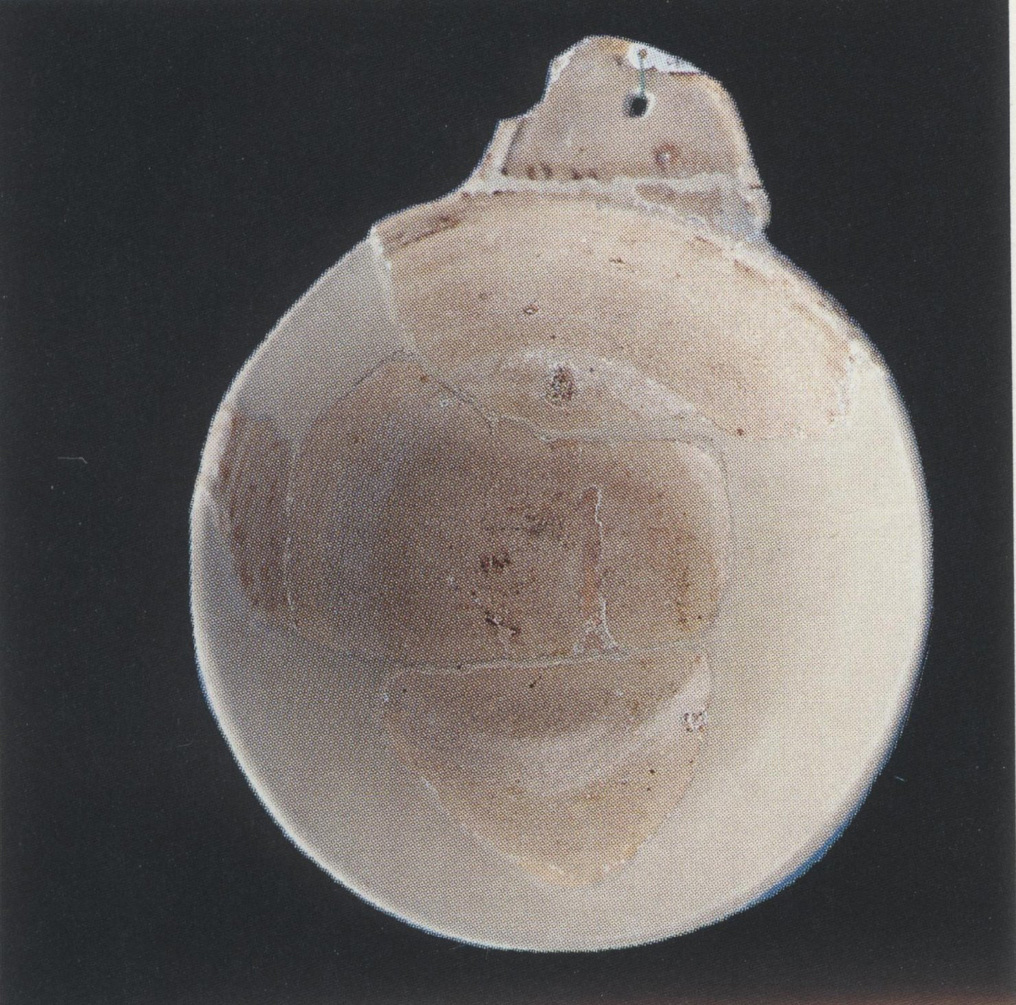 Ciotola