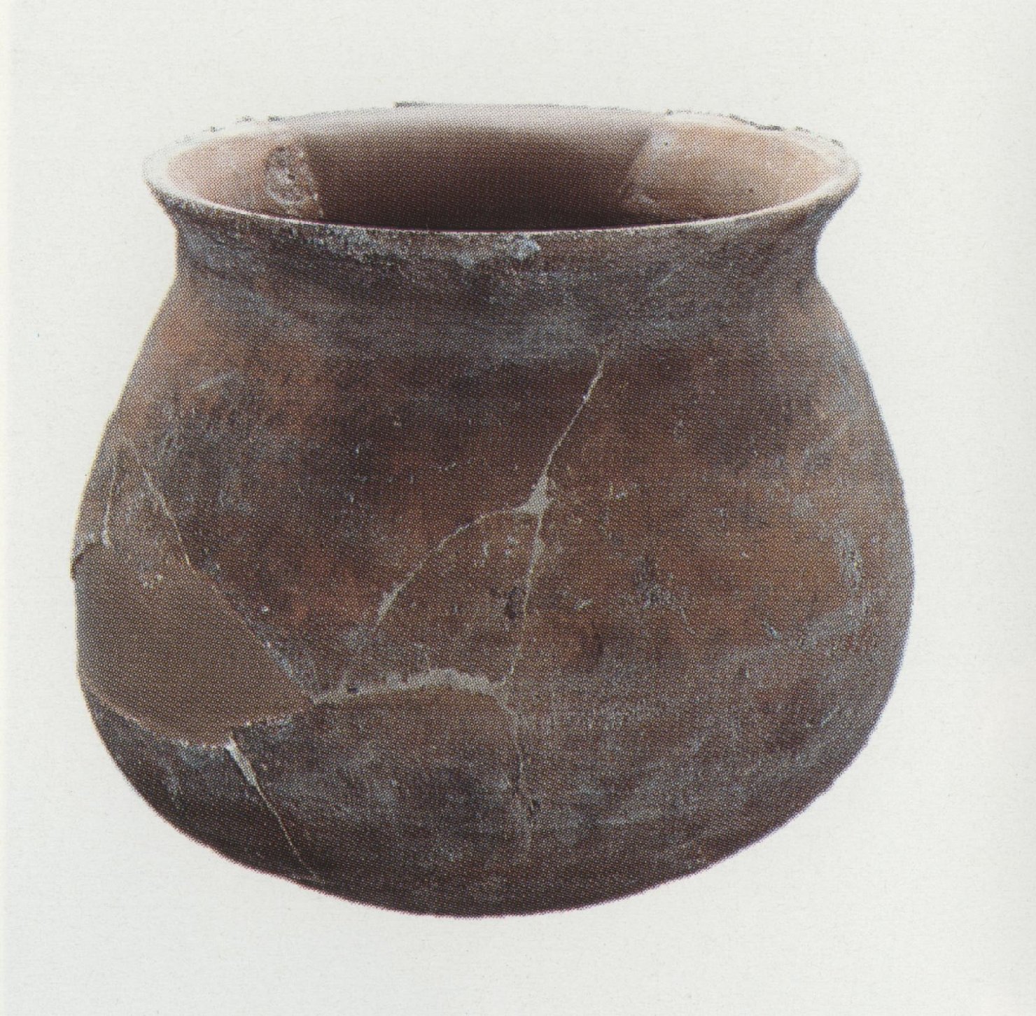 Olla