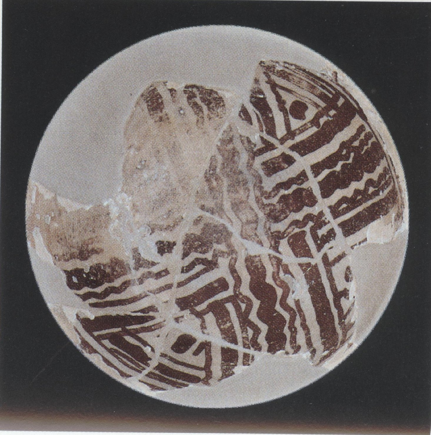 Ciotola