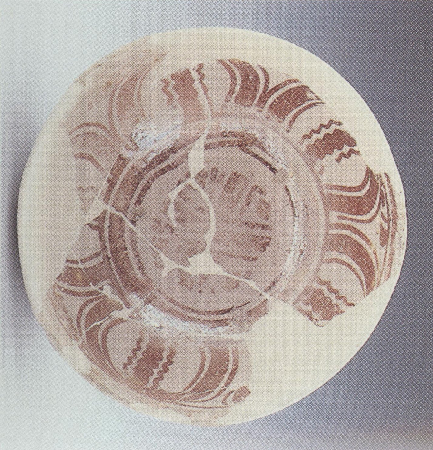 Ciotola