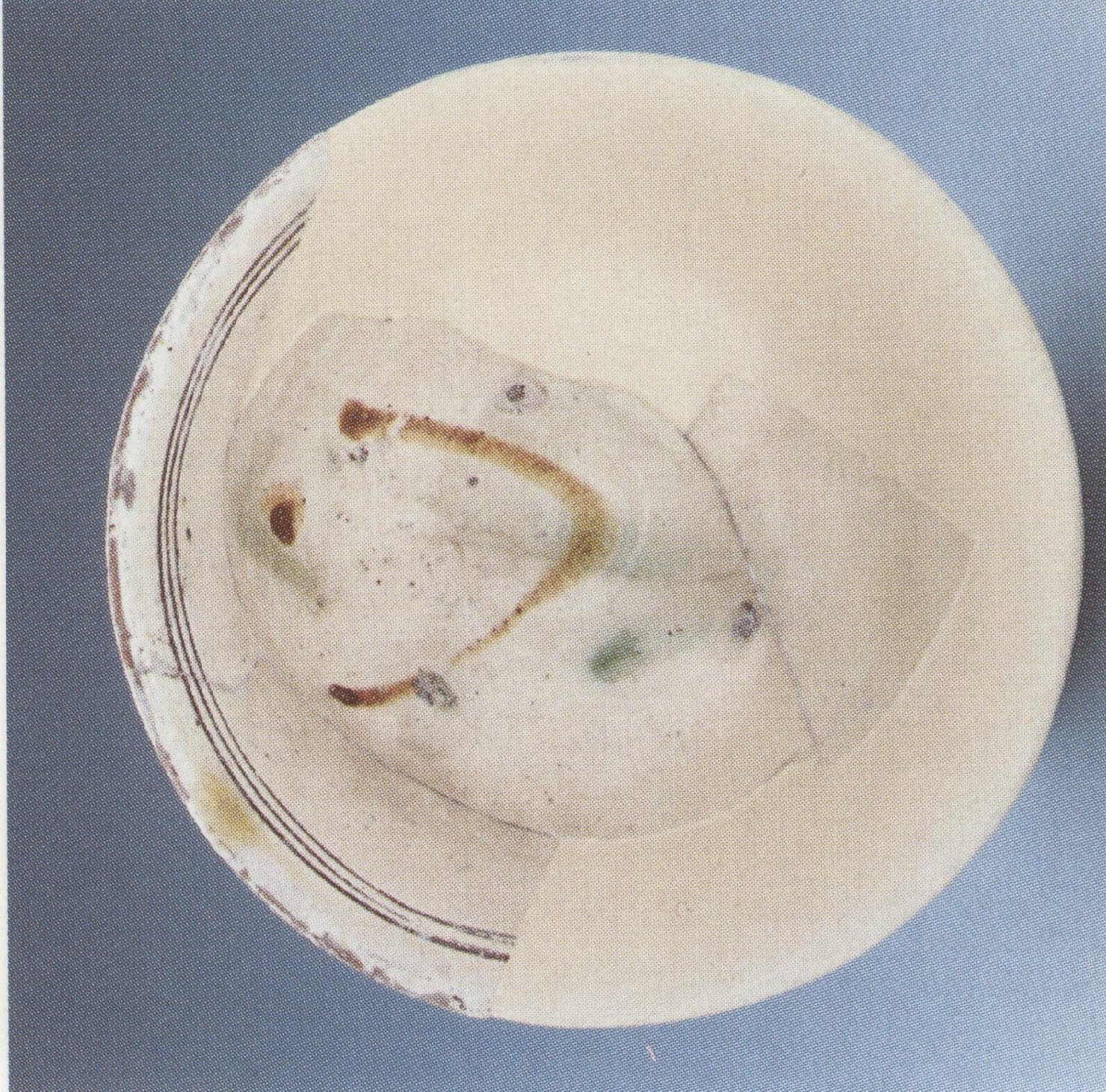 Ciotola