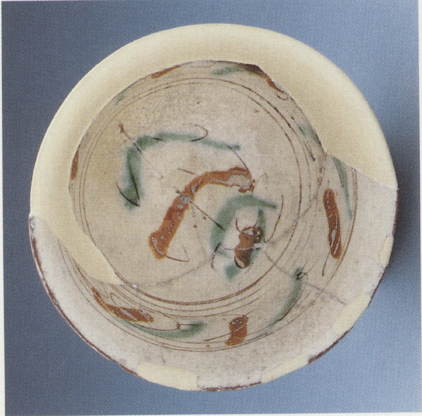 Ciotola