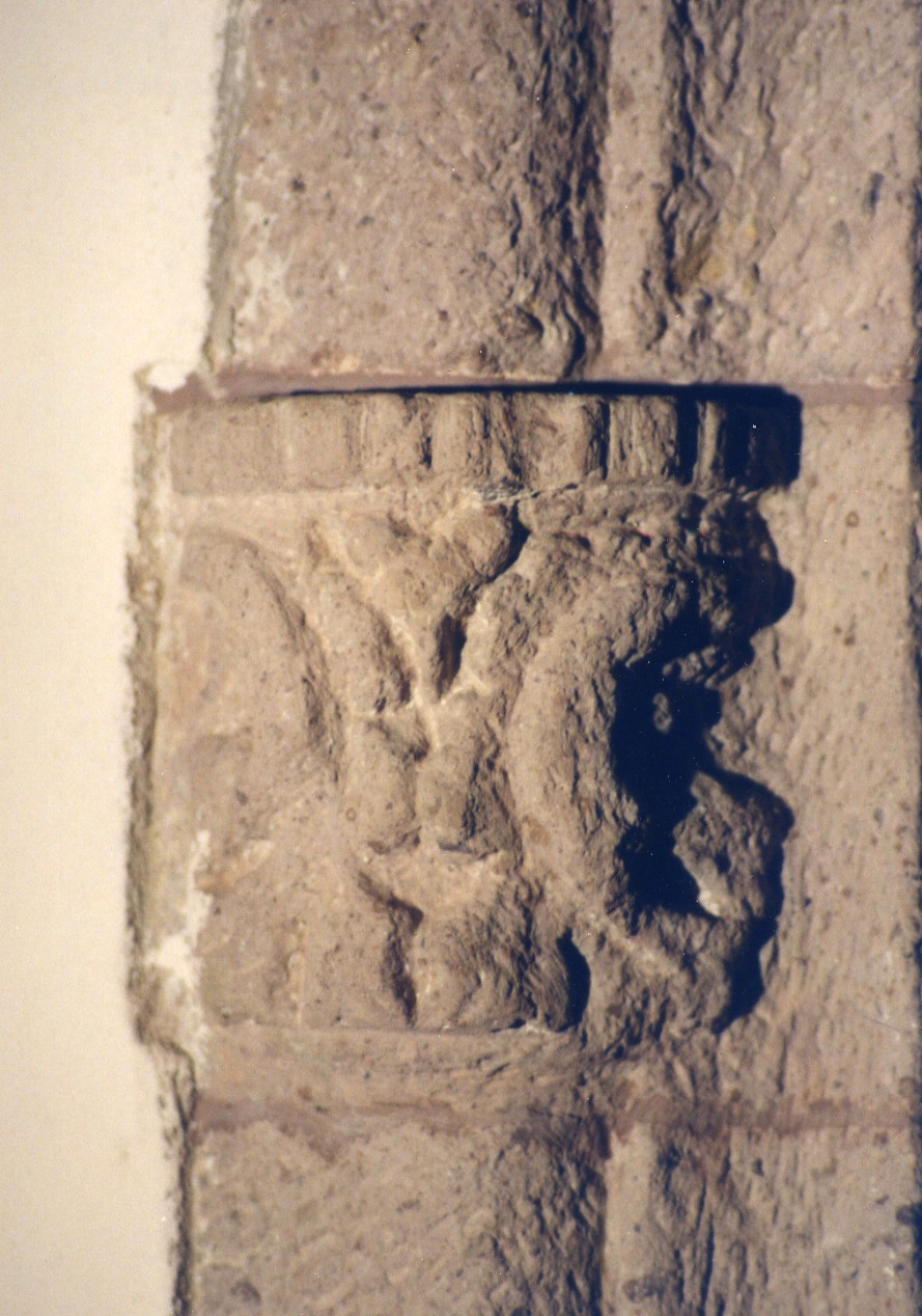 Peduccio