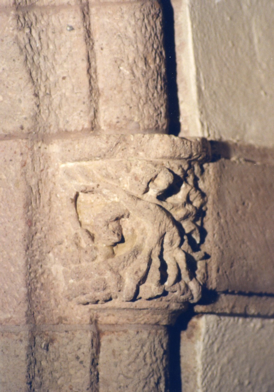 Peduccio