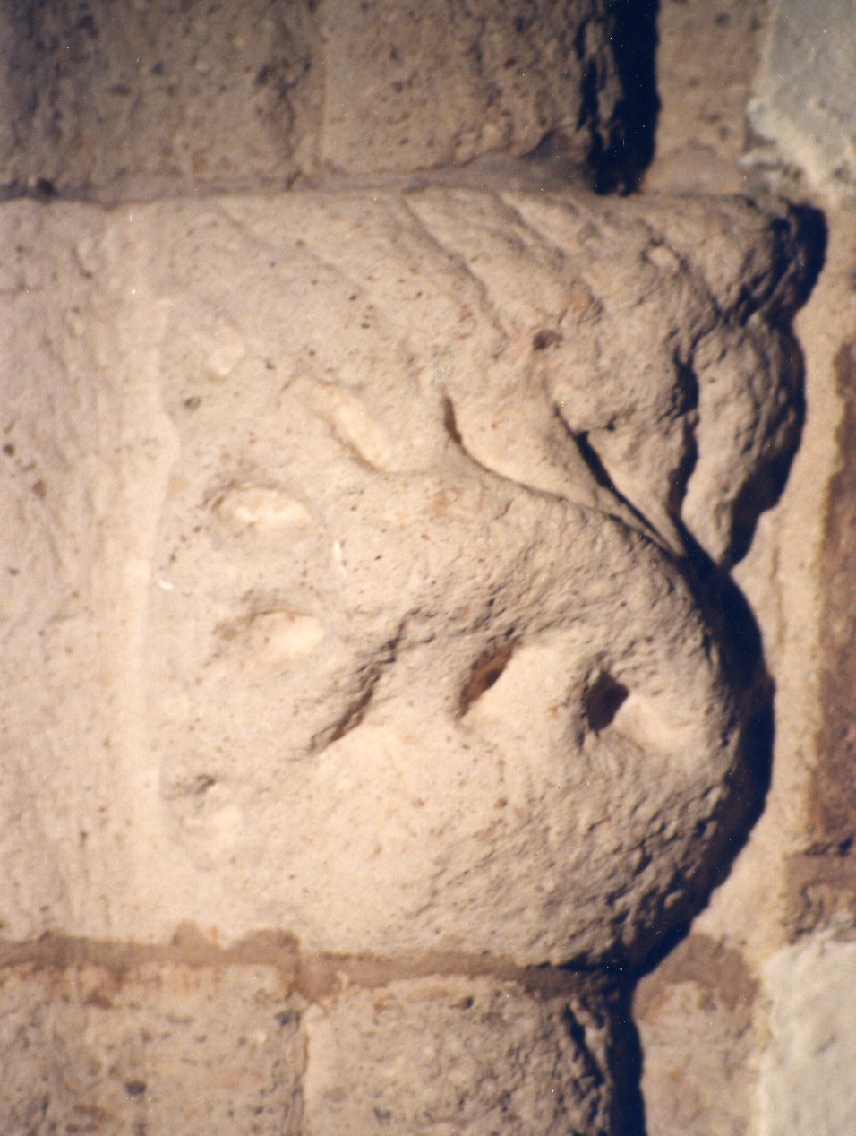 Peduccio