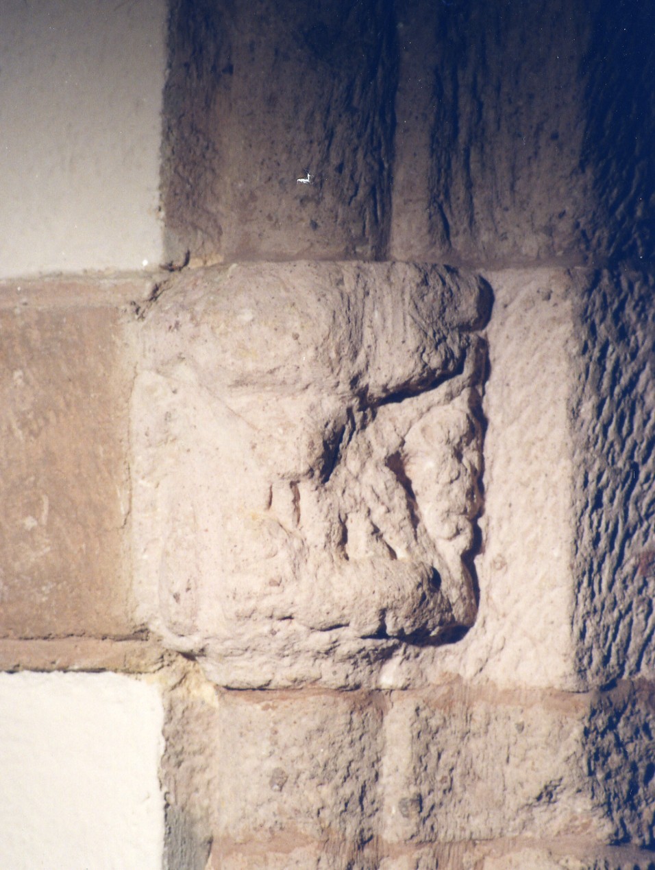 Peduccio