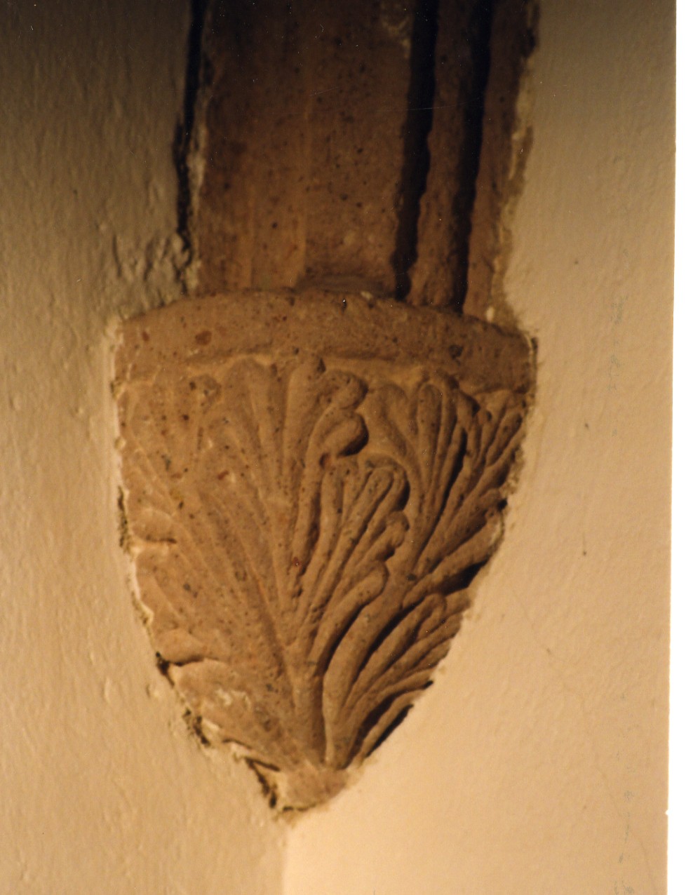 Peduccio - angolare