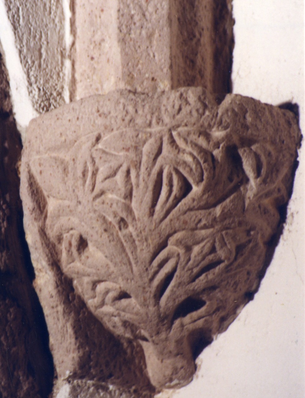 Peduccio - angolare