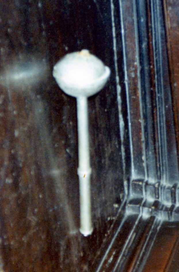 Aspersorio