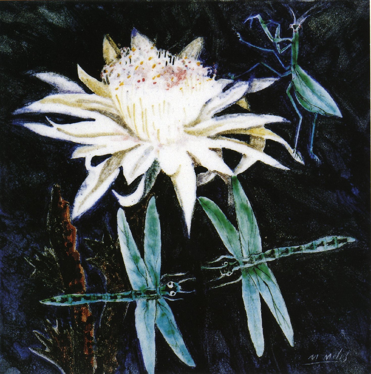Ninfea e libellule, fiore (dipinto)