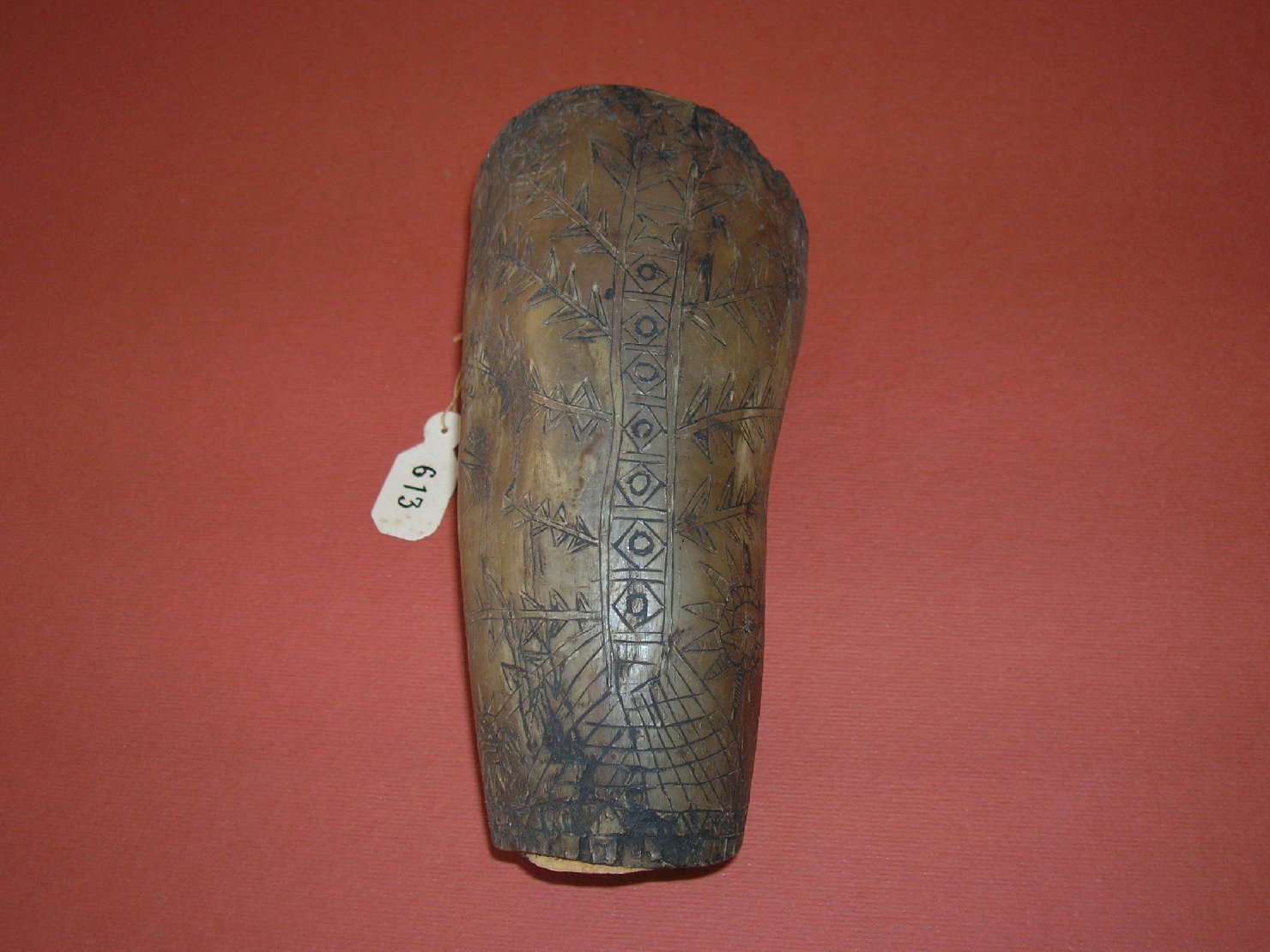 Bicchiere in corno, bicchieri, contenitori per liquidi