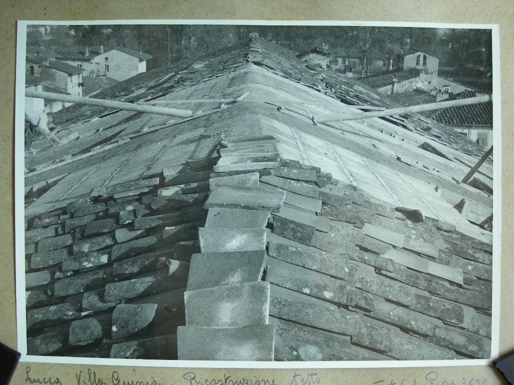 Villa Guinigi, tetto (positivo) di Anonimo (XX)