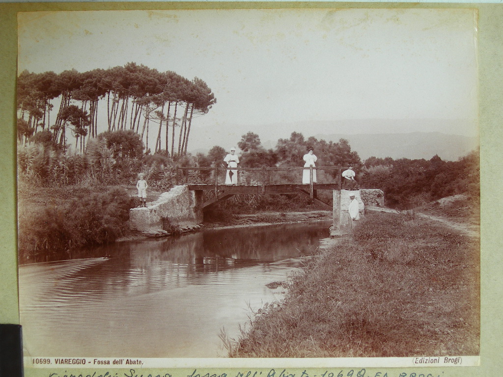 Viareggio. Veduta (positivo) di Anonimo (laboratorio) (XX)