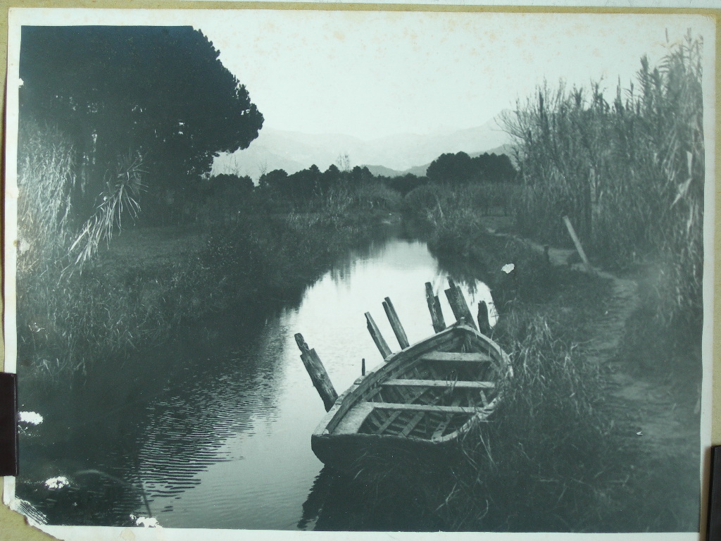 Lucca. Viareggio veduta (positivo) di P.Pierini (laboratorio) (XX)