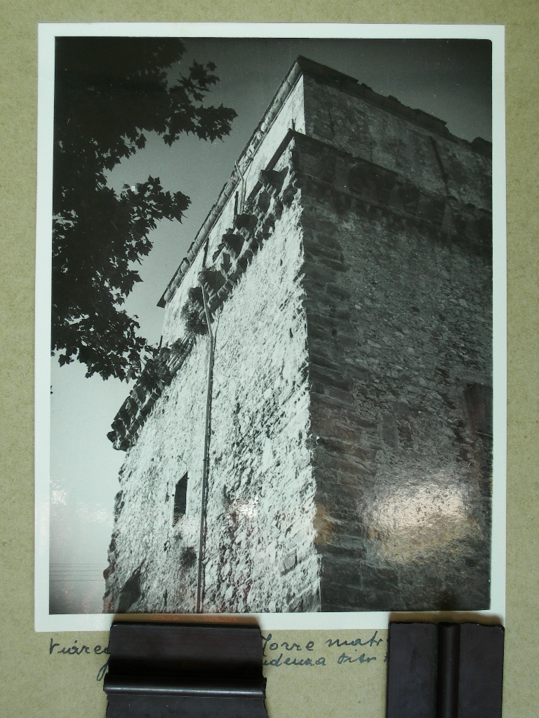 Lucca. Viareggio veduta (positivo) di Anonimo (laboratorio) (XX)