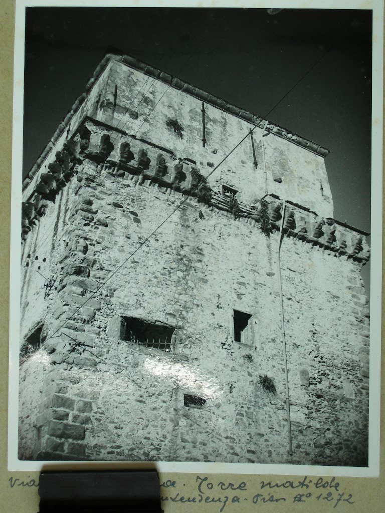 Lucca. Viareggio veduta (positivo) di Anonimo (laboratorio) (XX)