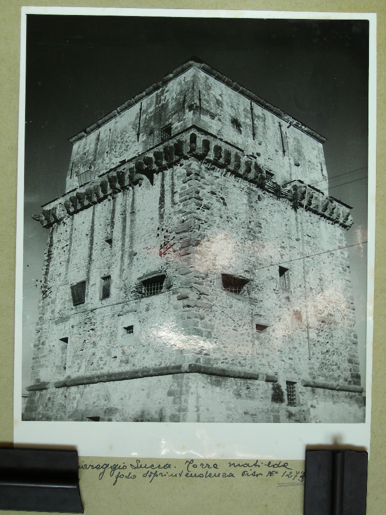 Lucca. Viareggio veduta (positivo) di Anonimo (laboratorio) (XX)