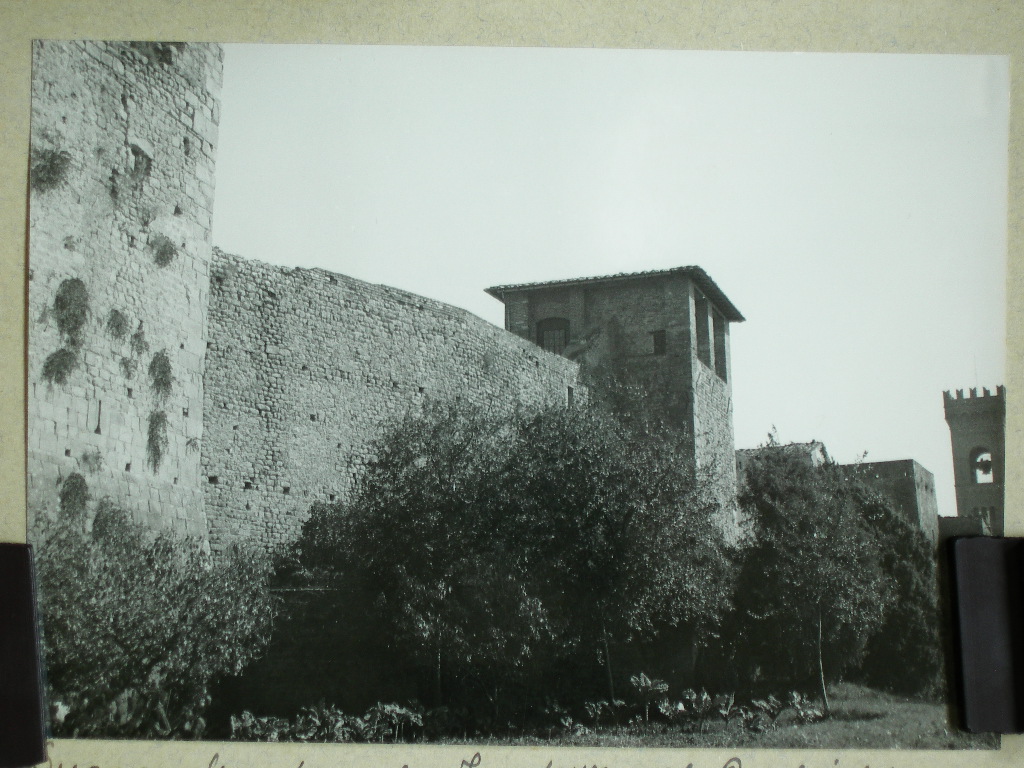 Lucca Provincia. Fortezza (positivo) di Anonimo (laboratorio) (XX)