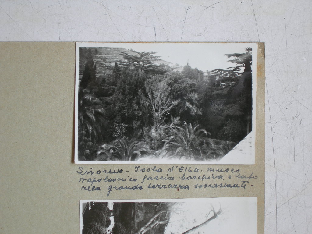 Isolad'Elba - Museo (positivo) di Anonimo (XX)