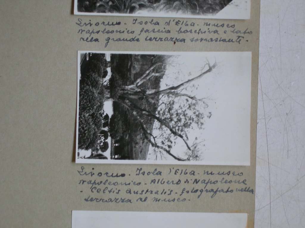 Isola d'Elba -Museo (positivo) di Anonimo (XX)